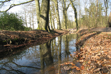 Leven in de Beek