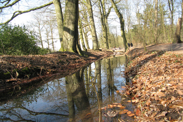 Leven in de Beek