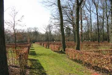 Uitbreiding Kerkhof