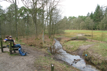 Uitzicht over het beekdal