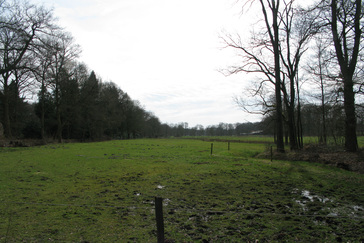 Uitzicht over het beekdal