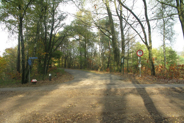 Spoorweg overgang Bos