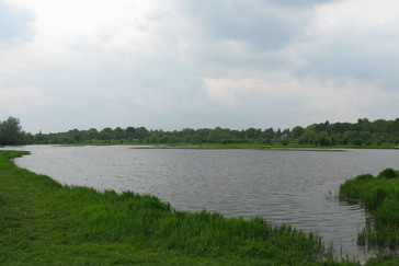 Vistrap Heelsumsebeek