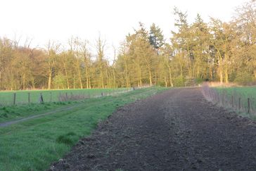 Ecologische verbindingszone