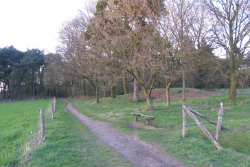 Grafheuvel