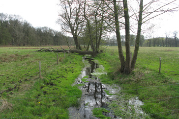 Uitzicht over het Beekdal