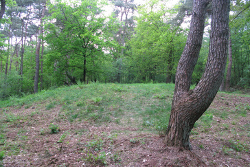 Grafheuvel in het bos