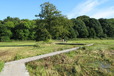 Plassen in de beek Plassen in de beek