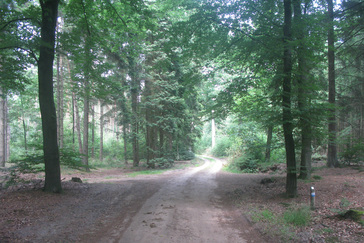 Knooppunt Quadenoord Noord