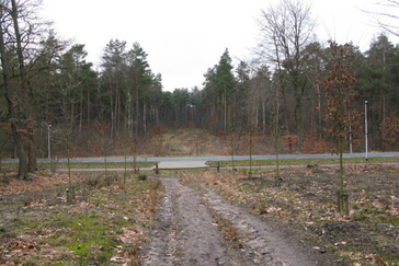 Herplanting lanen